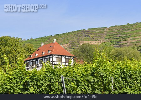 
                Weingut, Landsitz, Hoflößnitz                   