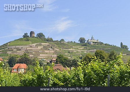 
                Weingut, Bismarckturm, Spitzhaus, Hoflößnitz                   