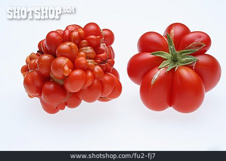
                Tomate, Tomatensorte, Ochsenherz, Reisetomate                   