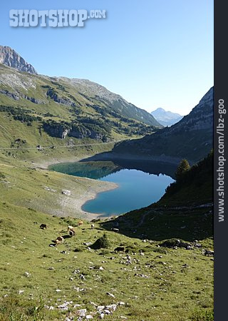
                Alpen, Bergsee, Lechtal, Formarinsee                   