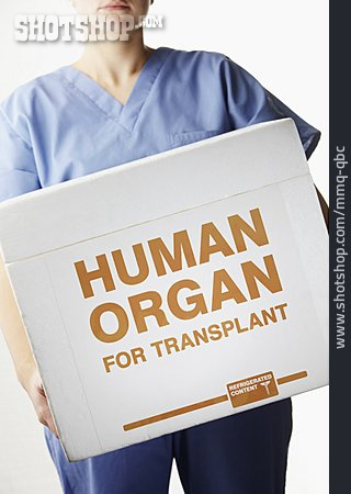 
                Krankenschwester, Organspende, Transplantation                   