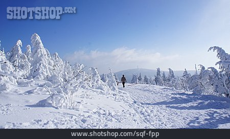 
                Forest, Winter Landscape, Oberwiesenthal                   