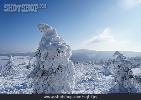 
                Winterlandschaft, Nadelwald, Schneebedeckt, Oberwiesenthal                   