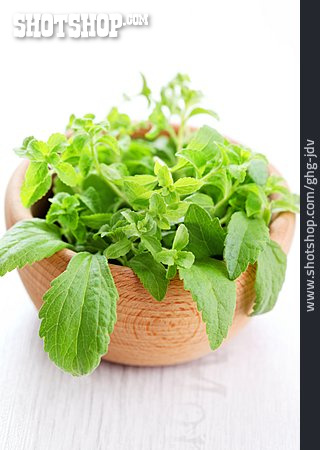 
                Stevia                   