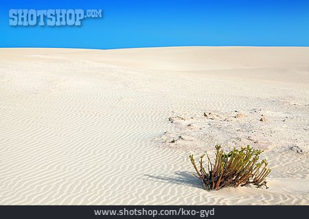 
                Sand, Spanien, Düne, Corralejo                   