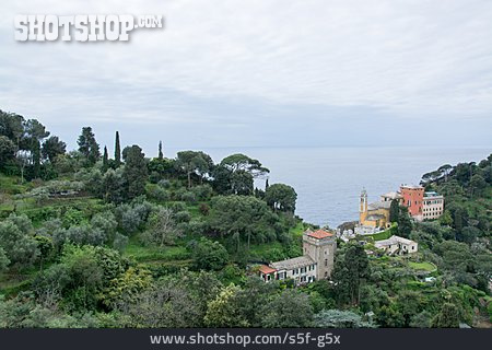 
                Altstadt, Portofino                   