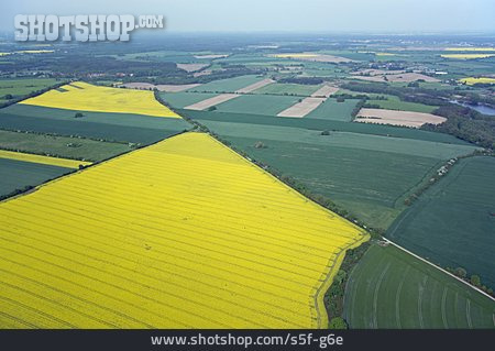 
                Landwirtschaft, Luftaufnahme, Rapsfeld                   