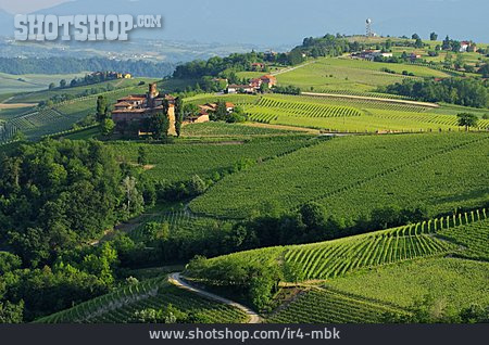 
                Weinbau, Piemont, Castello Di La Volta                   