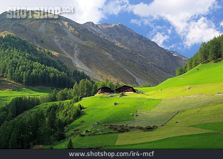 
                Südtirol, Almhütte                   