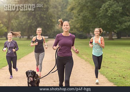 
                Hund, Training, Joggen, Läuferin                   
