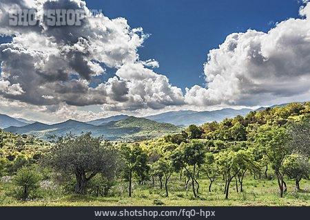 
                Landschaft, Sizilien, Madonie                   