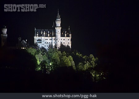 
                Nacht, Schloss Neuschwanstein                   