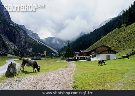 
                Bauernhaus, Alm, Stubaier Alpen, Pinnistal                   