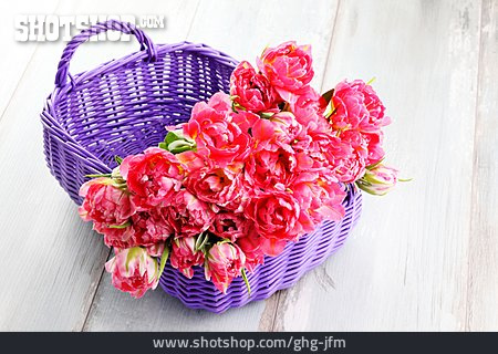 
                Tulpe, Blumenstrauß                   