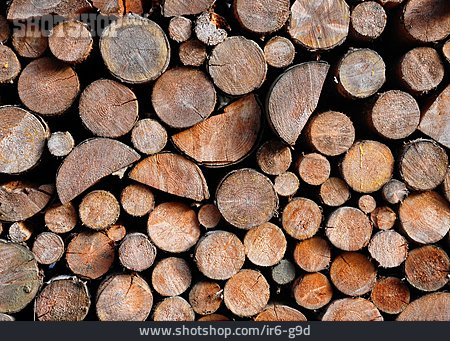 
                Forstwirtschaft, Brennholz                   
