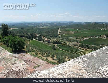 
                Weinbau, Toskana, Weinanbaugebiet                   