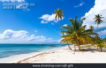 
                Karibik, Sandstrand, Isla Saona                   