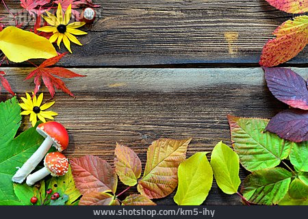 
                Herbstlaub, Fliegenpilz, Herbstfärbung                   