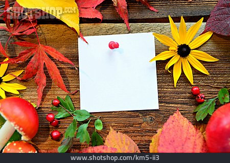 
                Herbstlaub, Notizzettel, Blanko                   