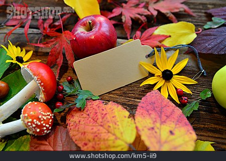 
                Herbstlaub, Blüten, Fliegenpilz, Etikett                   