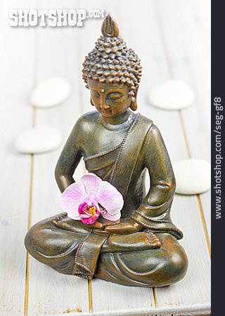 
                Wellness & Relax, Buddha                   