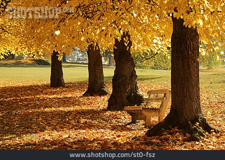 
                Sitzbank, Goldener Herbst                   