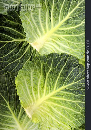 
                Cabbage, Savoy, Vegetables                   