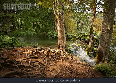 
                Naturdenkmal, Nationalpark Plitvicer Seen                   