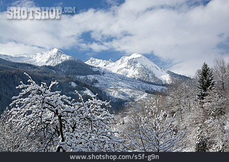 
                Alpen, Pinzgau                   