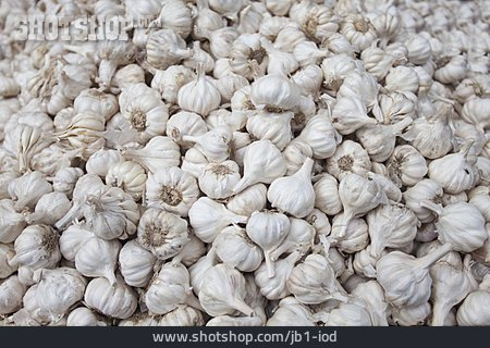 
                Garlic, Harvest                   