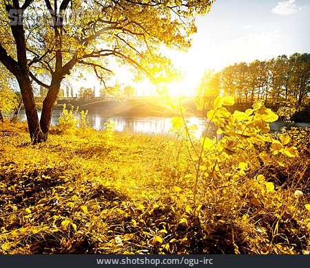 
                Herbstfärbung, Goldener Herbst                   