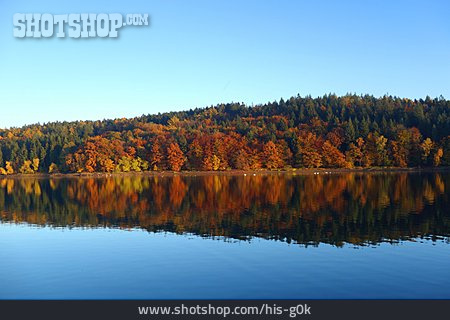 
                Mischwald, Herbstlandschaft, Bevertalsperre                   