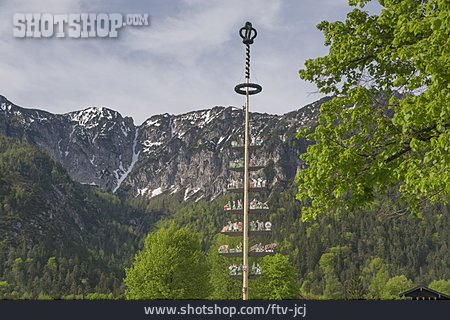 
                Alpen, Bayern, Maibaum                   