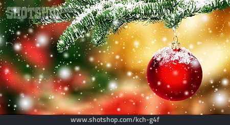 
                Fir Branch, Christmas Ball, Winterly                   