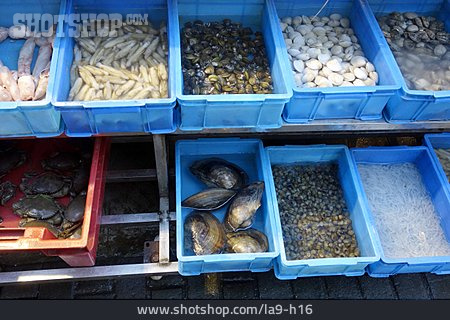 
                Meeresfrüchte, Fischgeschäft                   