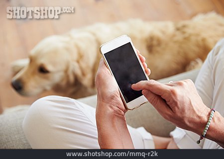 
                Touchscreen, Smartphone, Golden Retriever                   