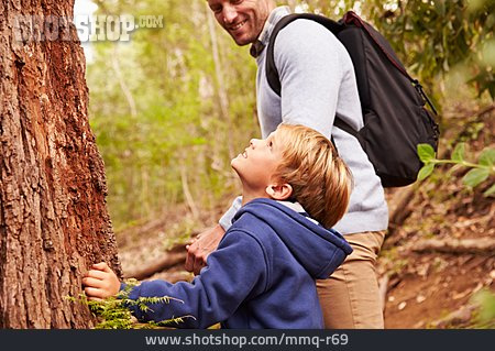 
                Junge, Baum, Naturverbunden, Waldspaziergang                   