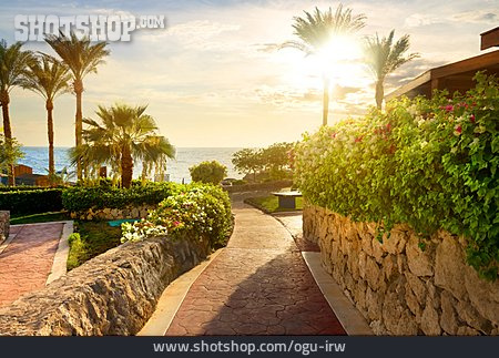 
                ägypten, Sharm El Sheikh                   