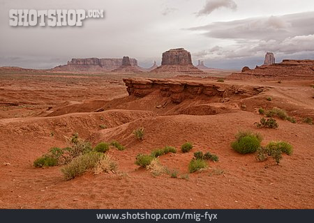 
                Arizona, Colorado-plateau                   