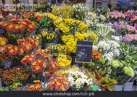 
                Blumenstrauß, Schnittblumen, Blumenhandel                   