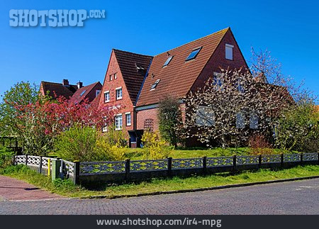 
                Baumblüte, Einfamilienhaus, Langeoog                   