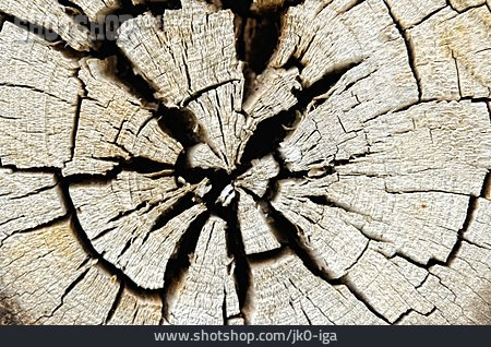 
                Maserung, Holzstruktur, Baumscheibe                   