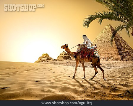 
                Reise & Urlaub, ägypten, Pyramide, Beduine                   
