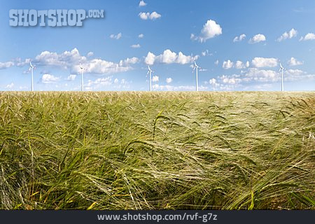 
                Getreide, Windrad, Getreidefeld                   
