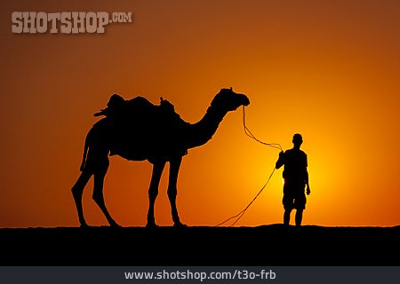 
                Mann, Wüste, Silhouette, Abendrot, Kamel                   