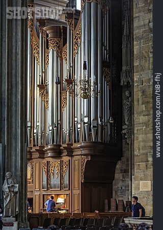 
                Orgel, Kirchenorgel                   