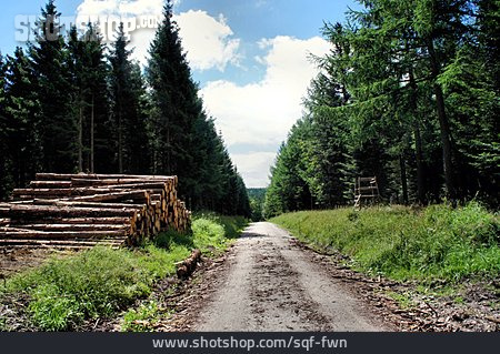 
                Forstwirtschaft, Waldweg                   