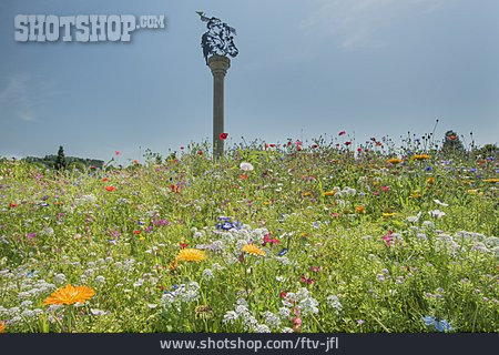 
                Blumenwiese, Siegsdorf, Fraßbild                   