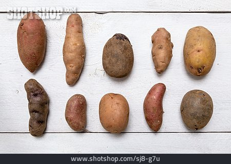
                Kartoffeln, Kartoffelsorte                   