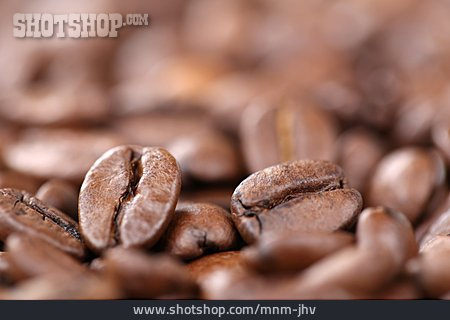 
                Kaffee, Kaffeebohne                   